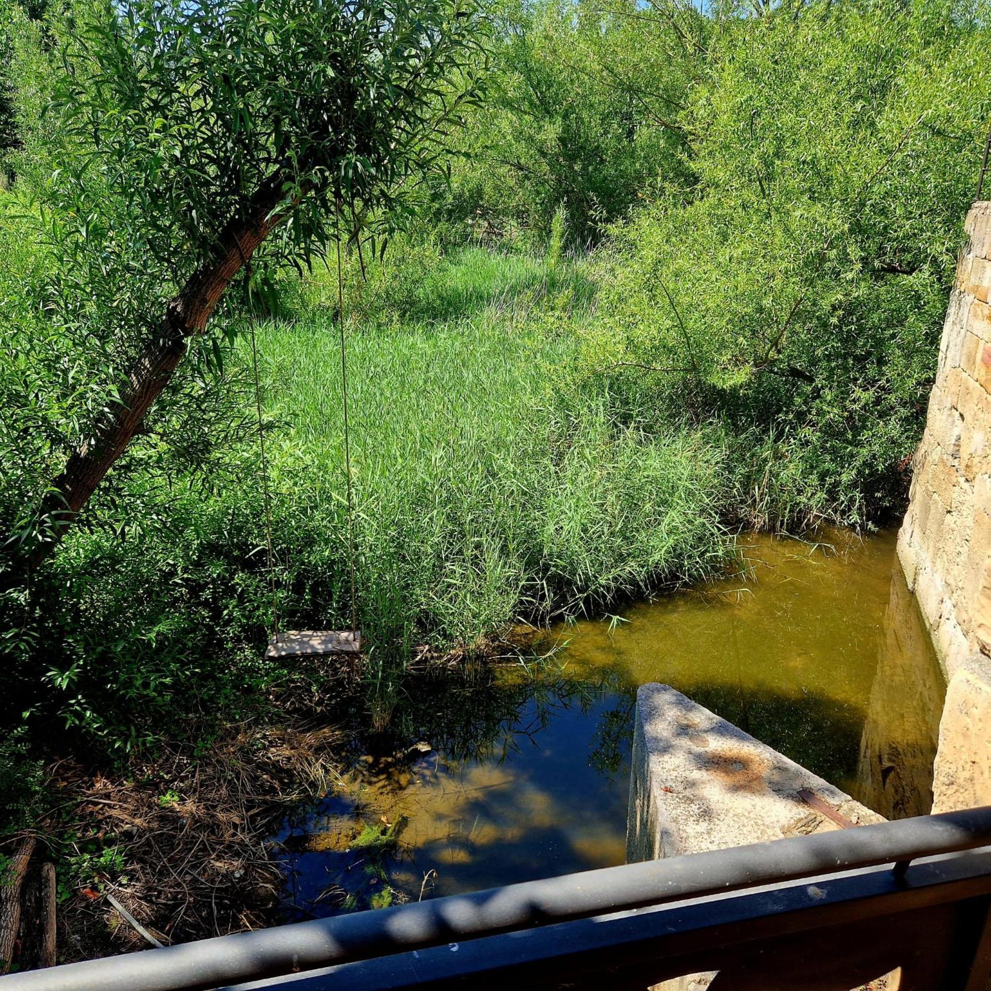 Complejo Oasis Beach Sobre El Rio Huerta  Dış mekan fotoğraf